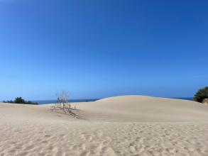 La plage de Patara ou la dune du pyla